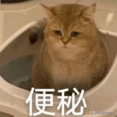 吃什么修复肠道菌群,食物不耐受适合吃哪款益生菌