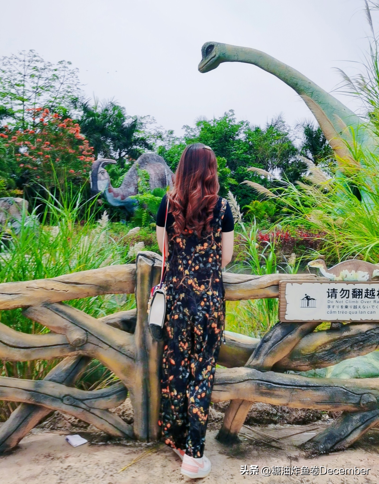 龙谷湾恐龙乐园扶绥攻略,扶绥龙谷湾恐龙公园游玩一天够吗