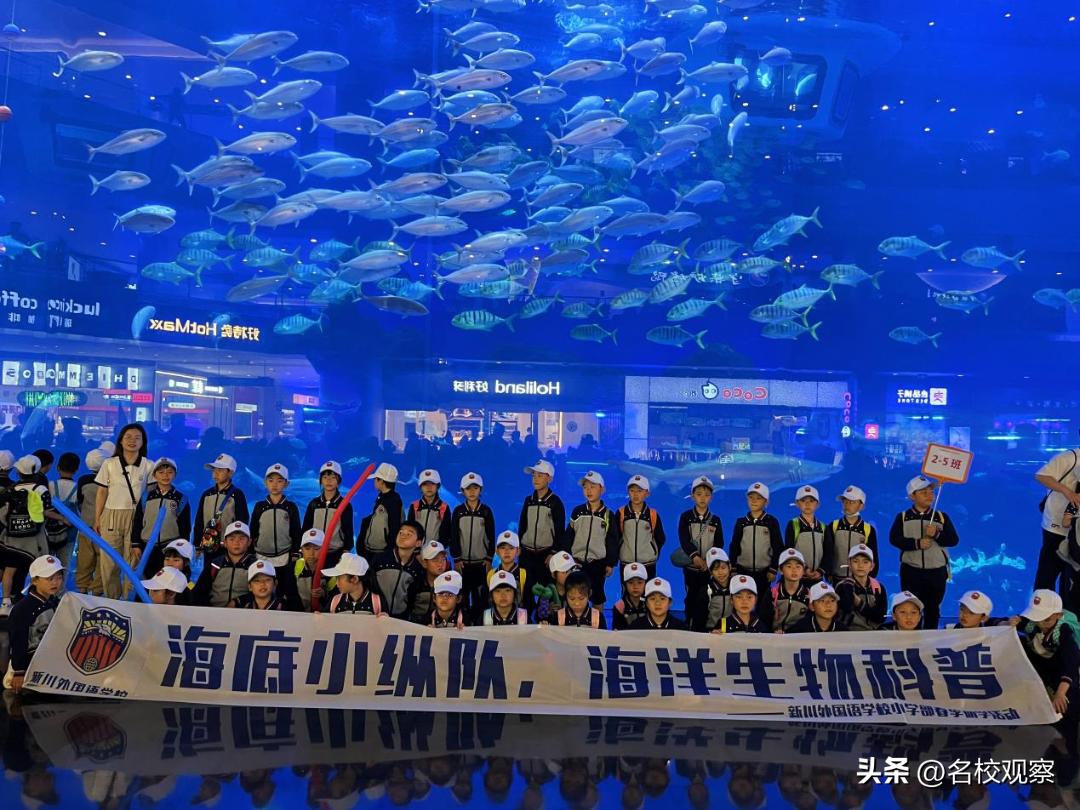 蔚蓝做苍穹，鱼儿变繁星！新川学子，走进浩海立方，探秘无限海洋