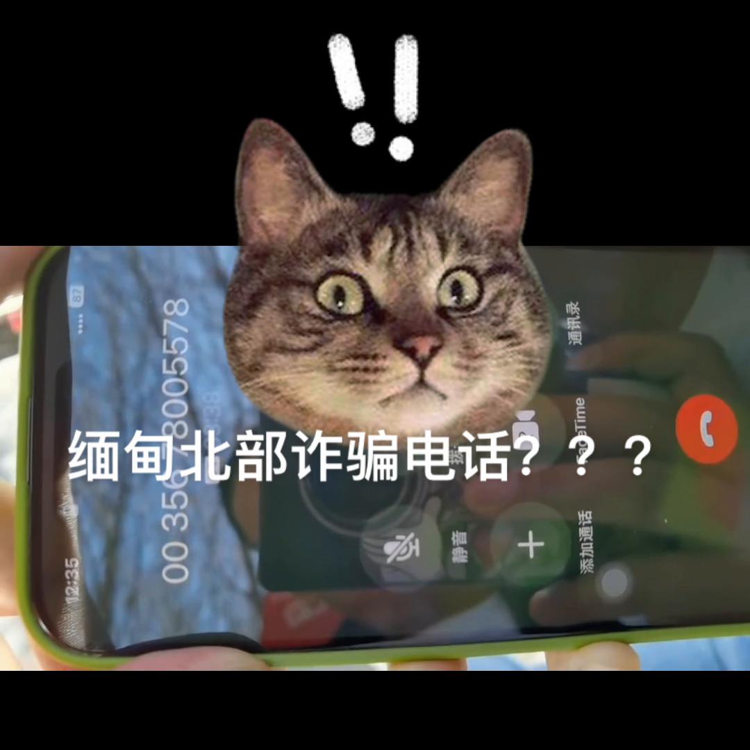 电信诈骗小姐姐视频,小姐姐第一次遇到网络诈骗