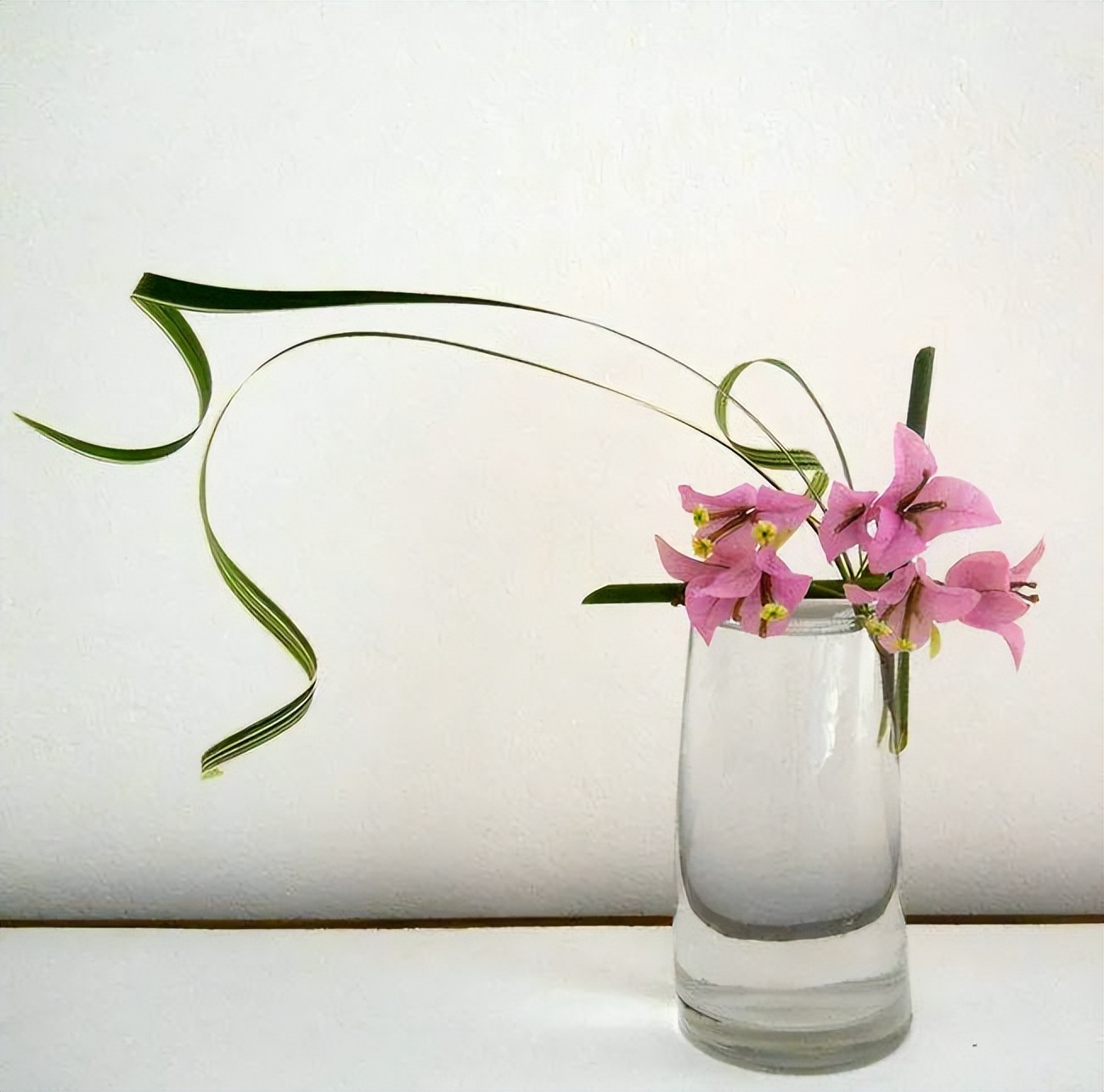 日式插花小原流花道,日式插花的13个基本技巧