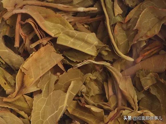 买茶时该如何挑选茶叶,买茶叶技巧视频教程