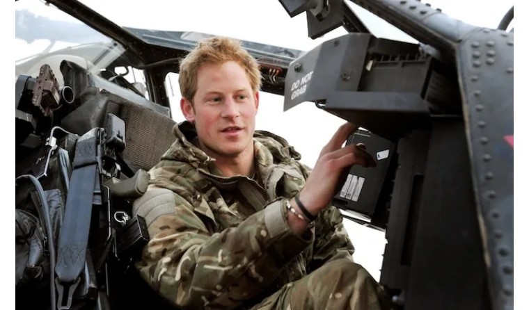 哈利波特粉丝活动,哈里粉丝