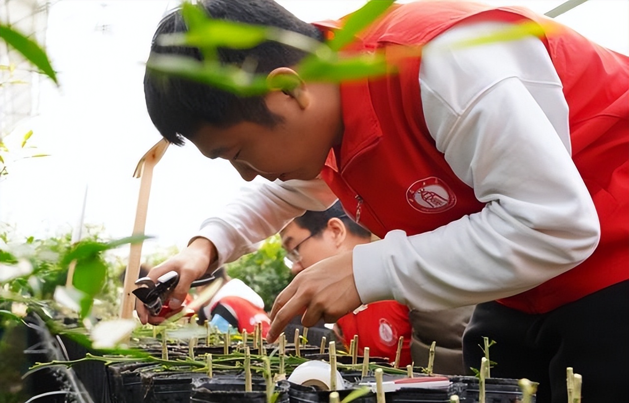 今明两年研究生就业形势,2021年研究生比较容易好考的专业