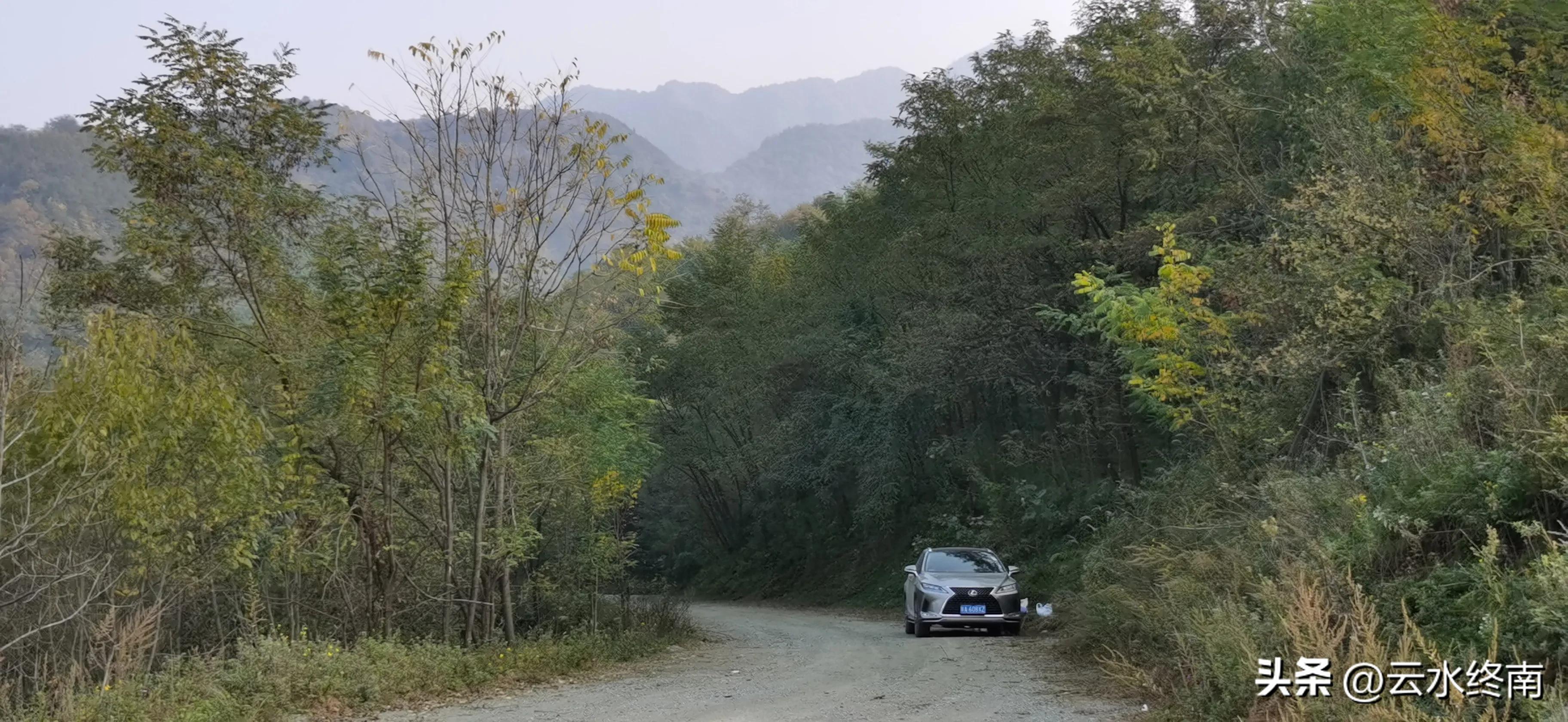 享个清福！到少有人知的峙峪看看漫山红叶，喝喝住山人清茶