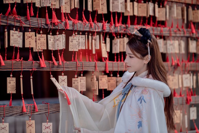 新年祝福语古风文案短句,古诗词新年祝福文案短句