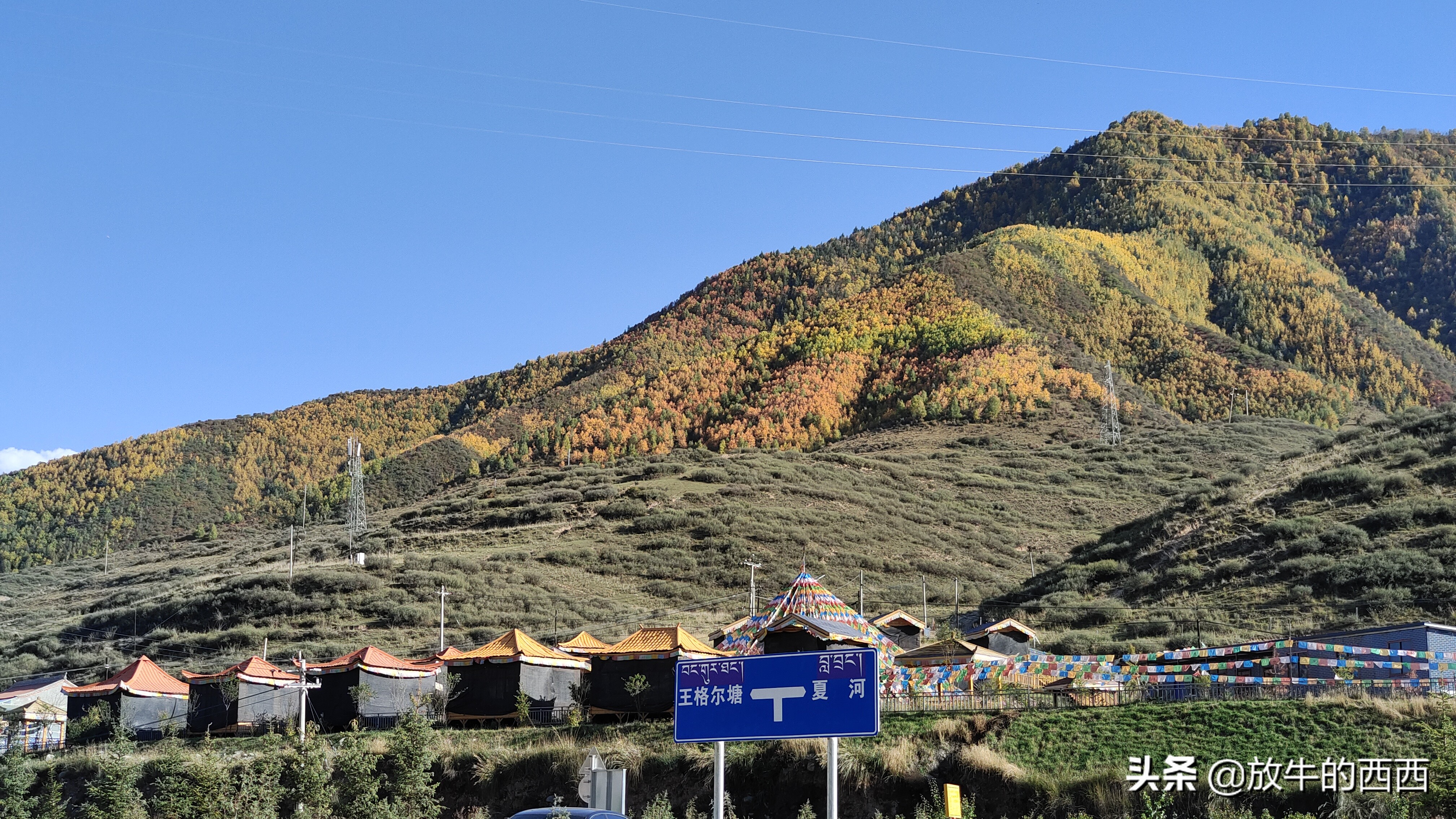 6999元原价购入“厂妹机”,使用近3个月,我后悔了吗?