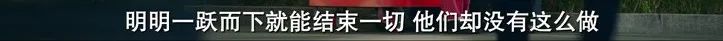 刚播4集,刚播出4集就火了
