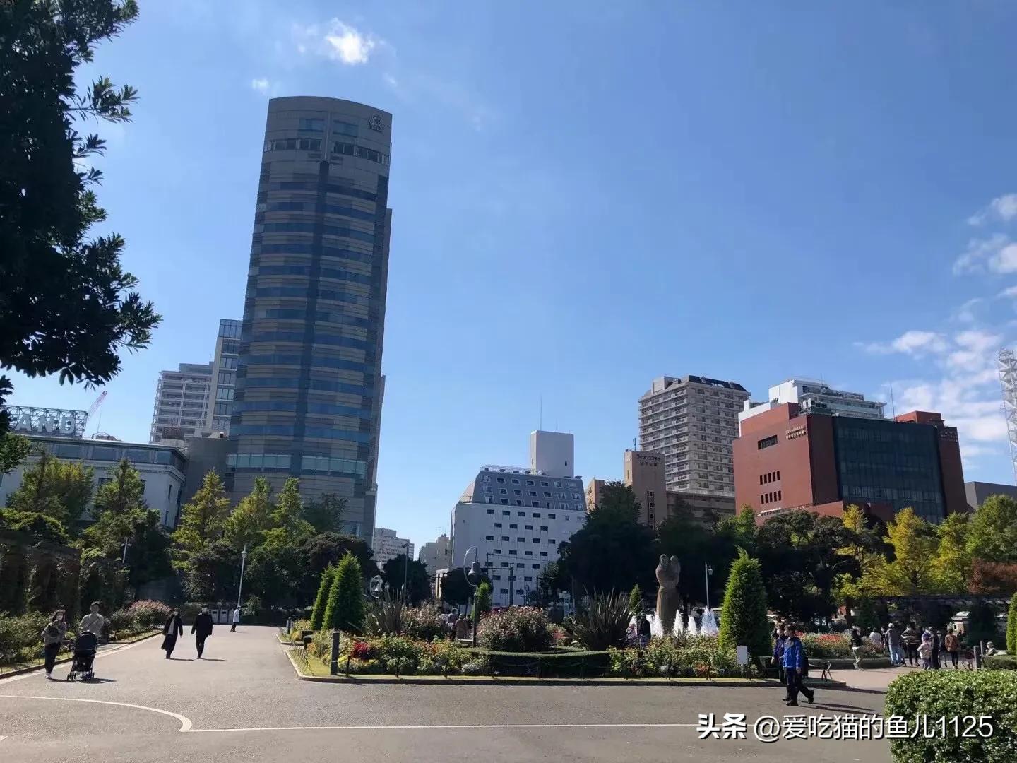 日本见闻,日本见闻录