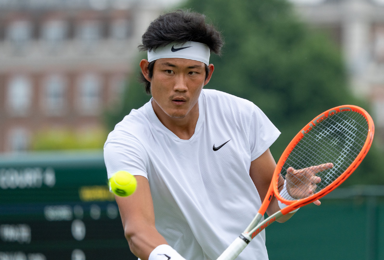 温网德约科维奇直播cctv5,温网最新战报德约科维奇直播