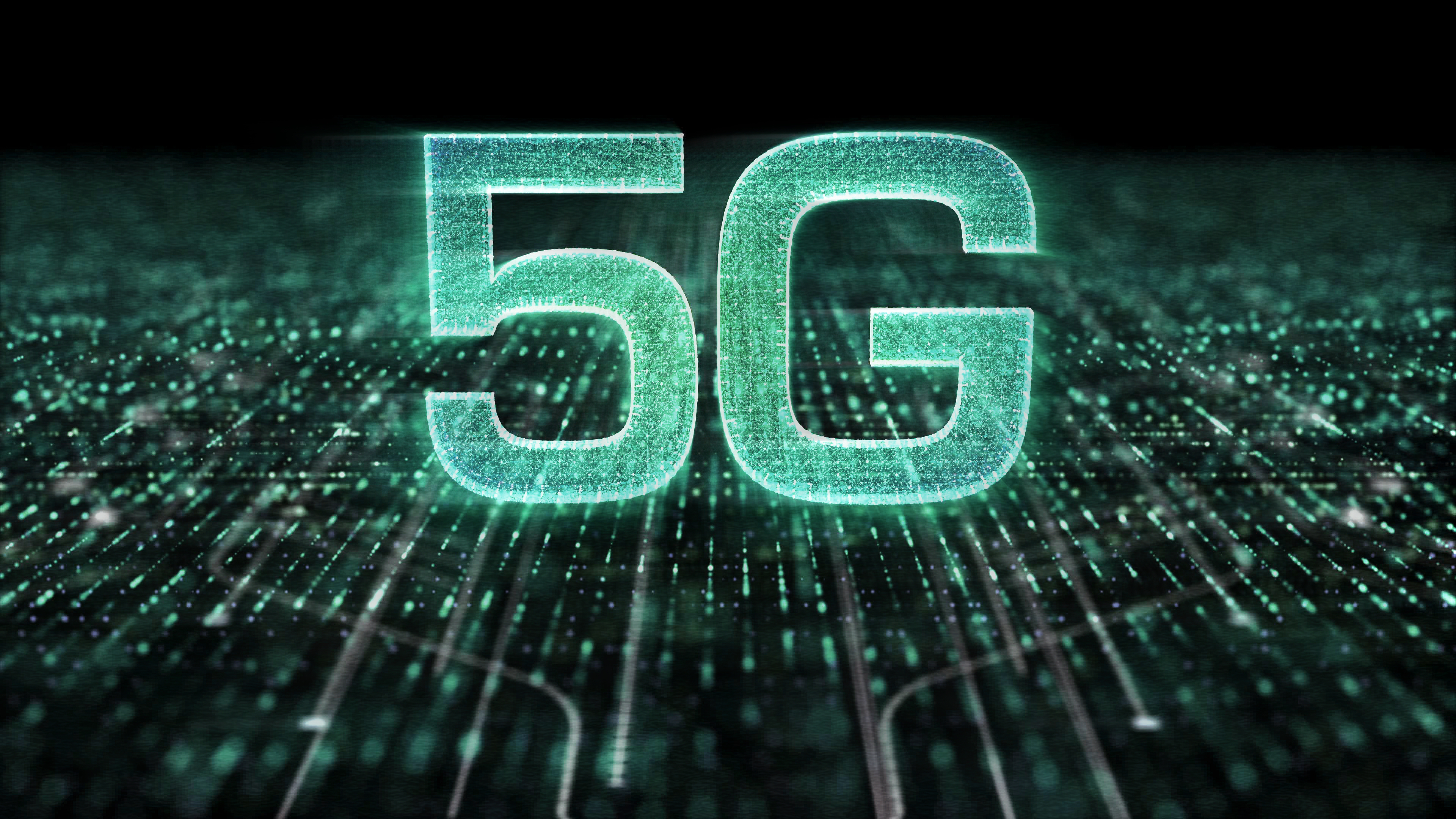 蒲公英nas下载,蒲公英的历史价位