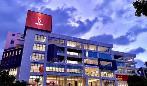 辛巴一天能挣1000万是真的吗,辛巴一天挣13亿