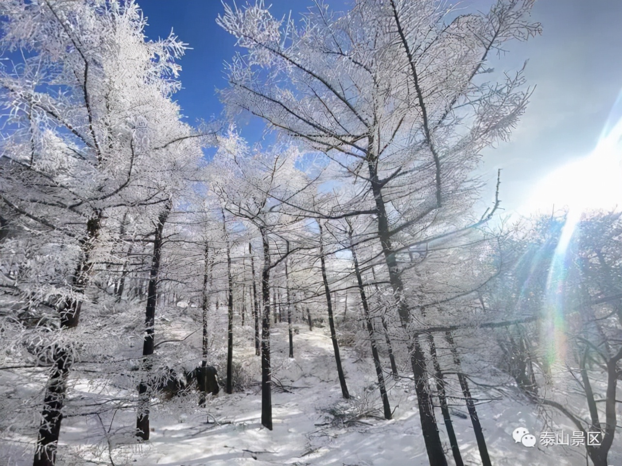 2022年春节放假时间出炉!这份旅行攻略请查收