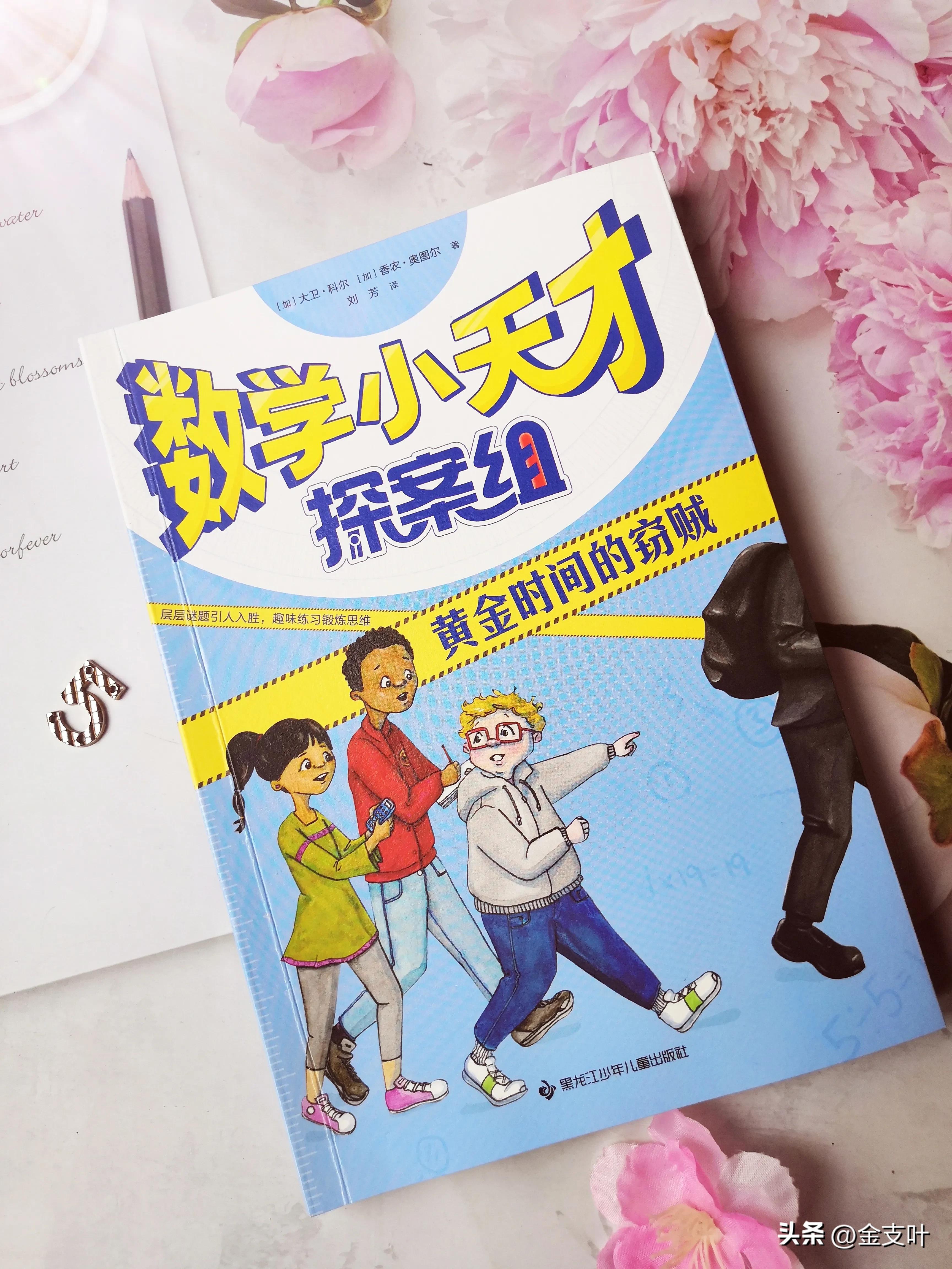 数学小天才探案组推荐理由,数学小天才探案组读书笔记