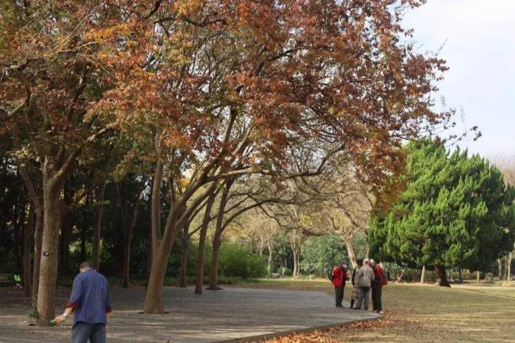 最值得打卡的动物园,国庆必打卡动物园推荐