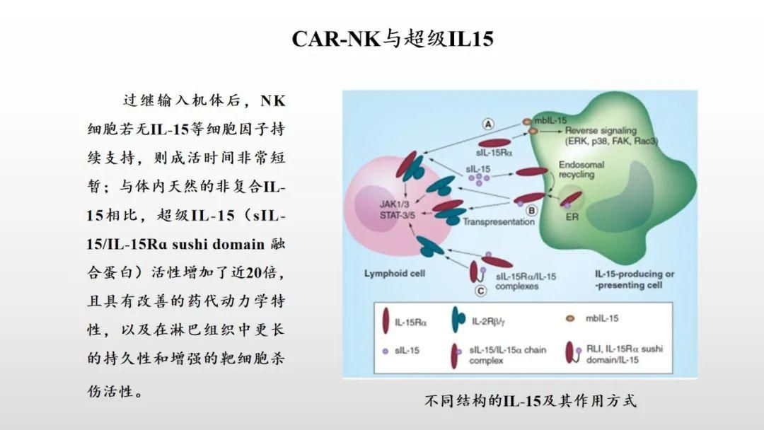 2023年治疗癌症技术开发展望,中国医疗癌症治愈率2030
