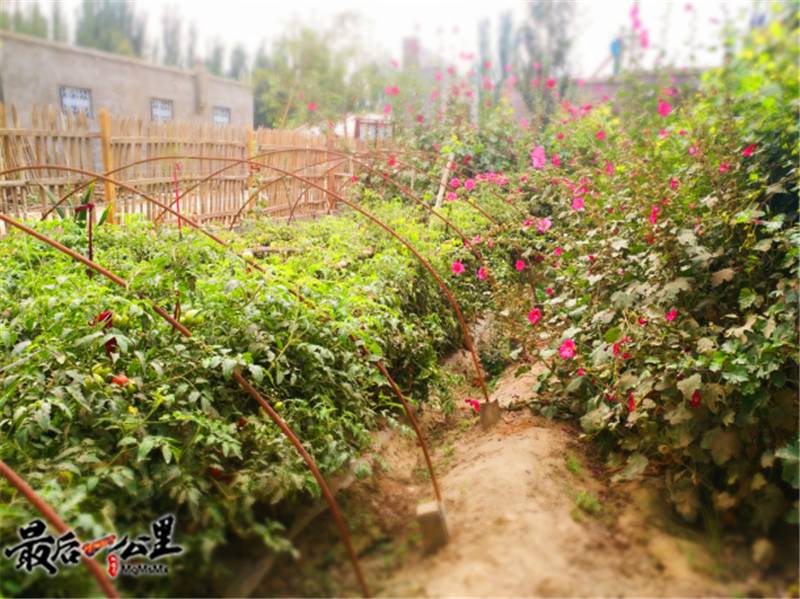 失踪的年轻租客完整版,失踪的年轻租客第三集