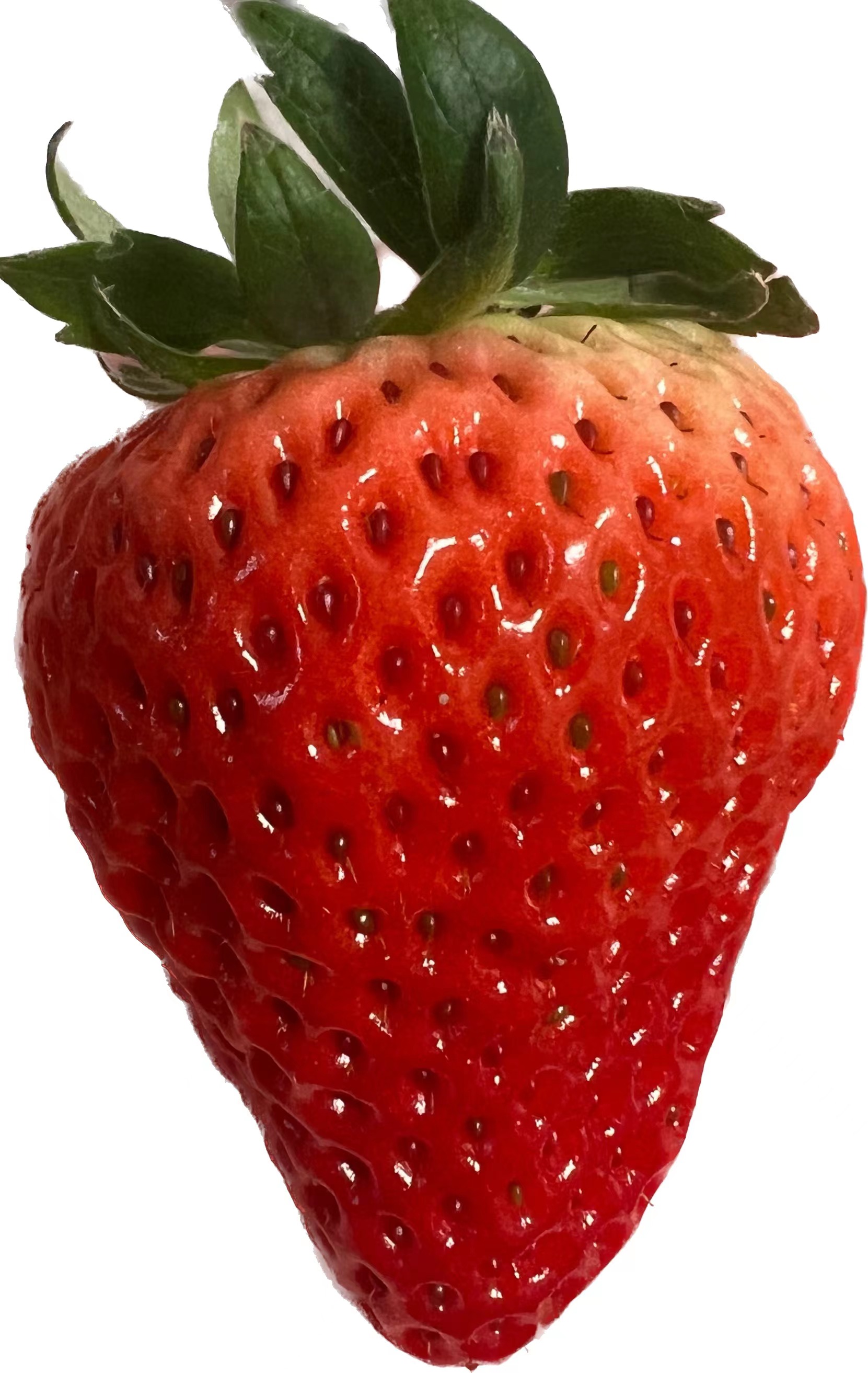 夏日水果清单大全集,夏日解渴水果合集