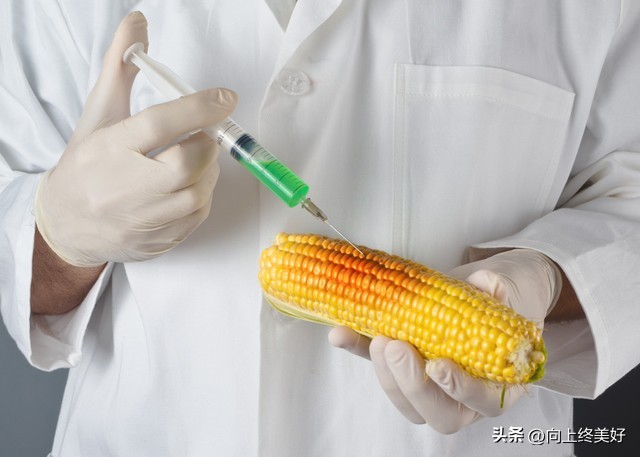 植物生产类专业学习注意点,植物生产类专业考公务员