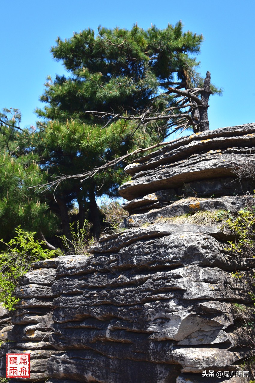 太行王莽岭简介,太行山王莽岭