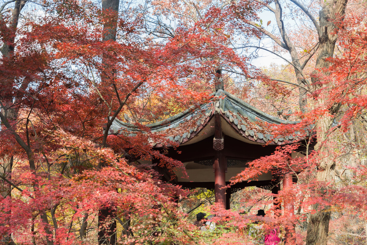 南京旅游必去的景点纪念馆,南京有哪些旅游景点值得去玩
