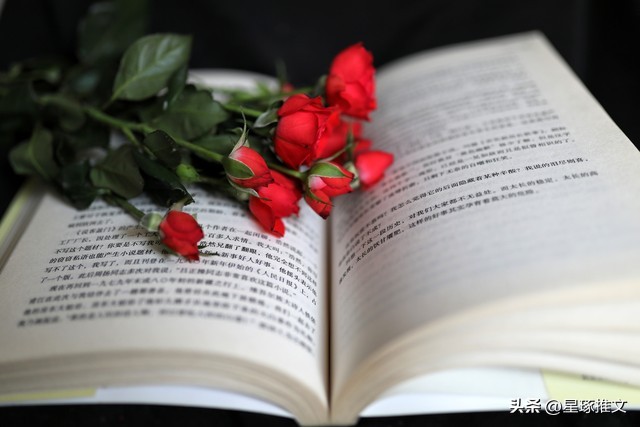 强烈安利《为她做不二臣》性冷淡VS小娇纵