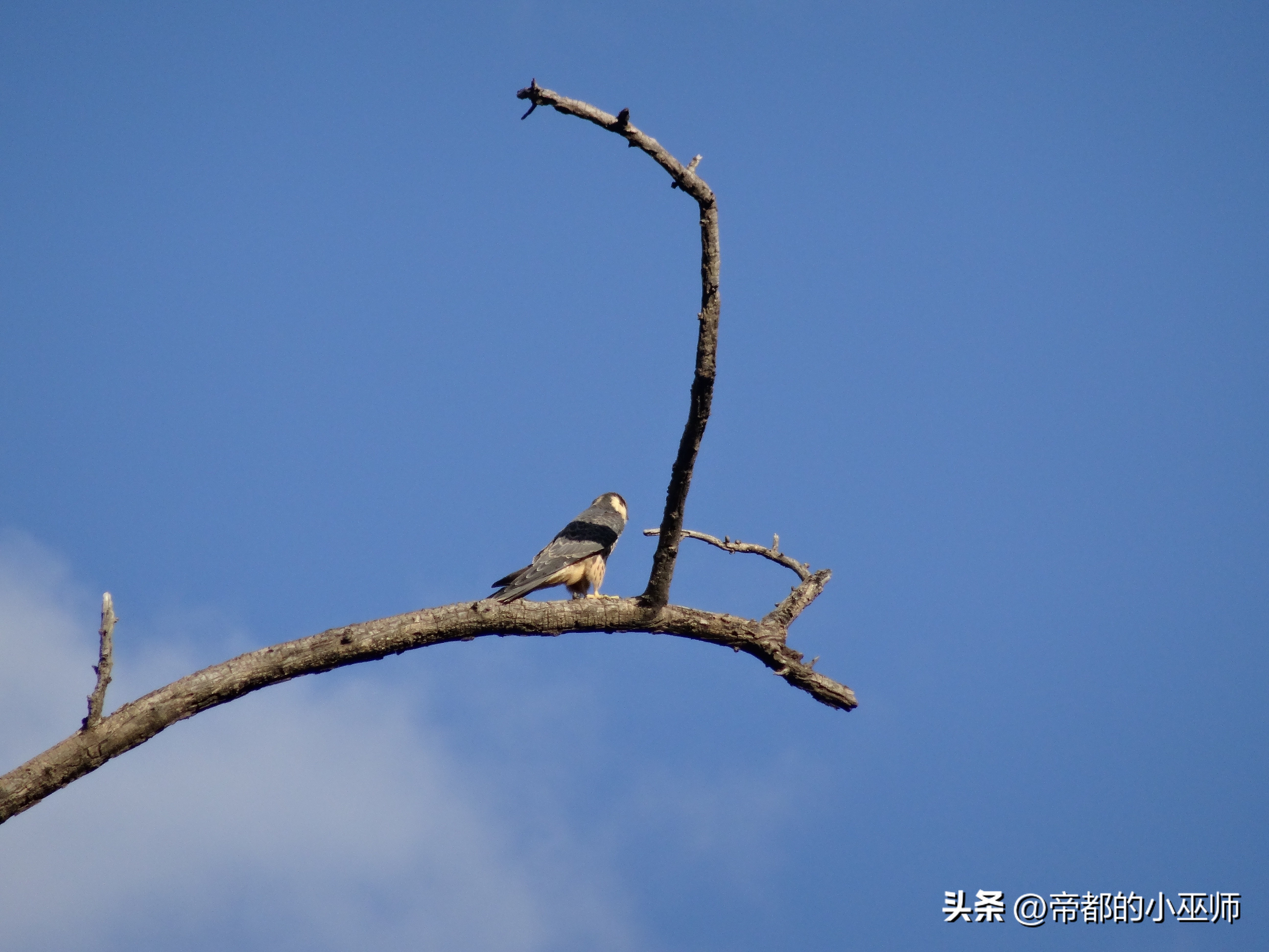 猛禽vs特雷德,2023猛禽和2022款有啥区别