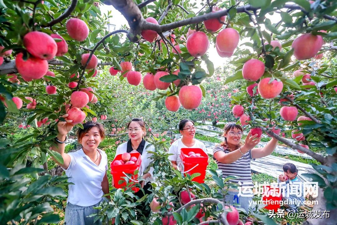 万荣：一泓清水入黄河谱写发展新篇章