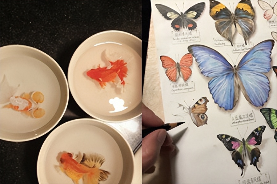 最强大脑水哥最后一战怒怼节目组,水哥输得最惨的一场