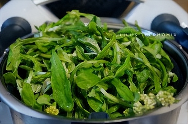 止咳化痰草图片及功效,止咳化痰最快最好的草