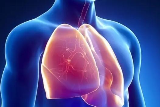 腰痛能引起腹部疼吗,腰痛可以牵涉到哪些部位的疼痛