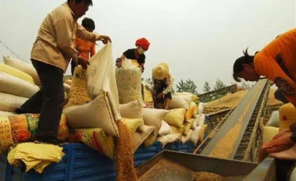 为何很多白酒的发货地都在河南,为什么买酒都是河南发货