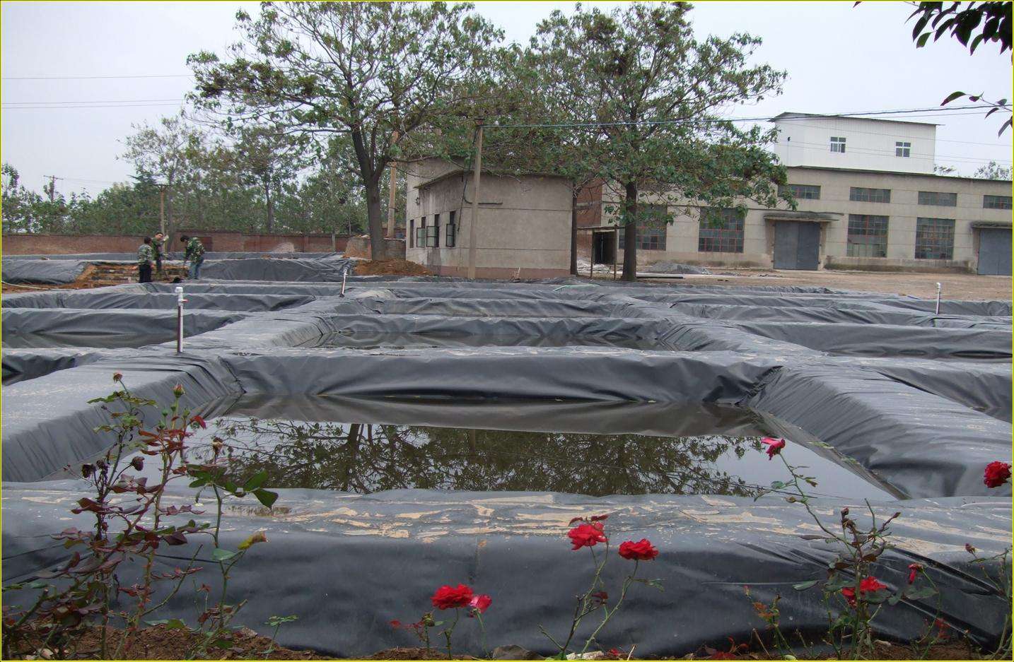 鱼塘养殖专用防渗膜是什么,鱼塘防渗膜的正确施工方法