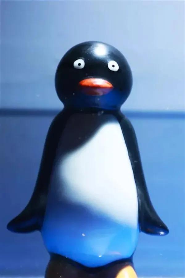 从舞蹈室到舞台,从舞蹈室到舞台卡点