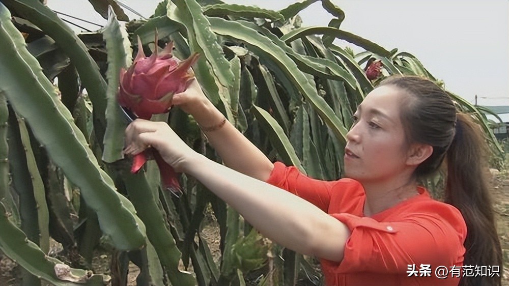 19岁女大学生深夜做“生意”,一年替父还债200万,成千万富婆