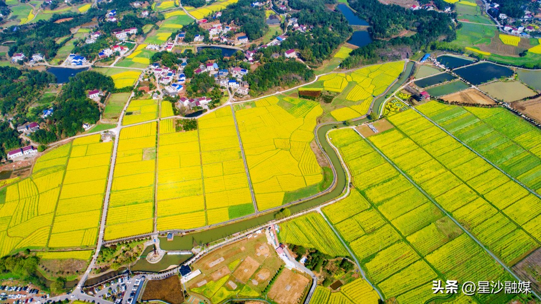 长沙春天赏花的地方有哪些,长沙春天哪里看花海
