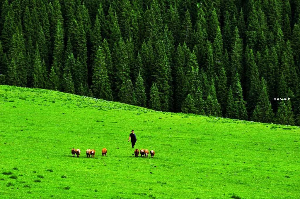 七月中国美如画，夏日避暑五十处