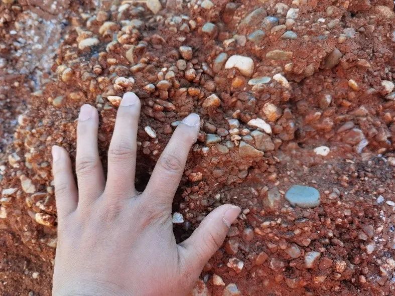 东北黑土退化的原因及措施,东北黑土退化的原因及治理措施