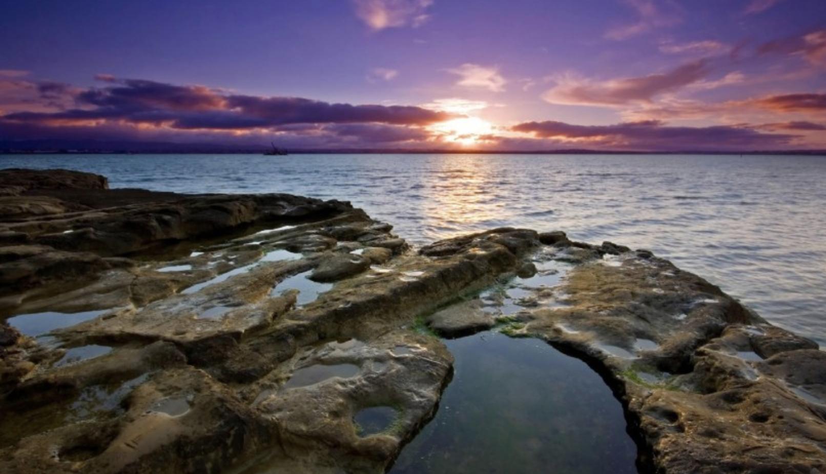 为什么不要和狮子座谈异地,为什么不能跟狮子座谈恋爱