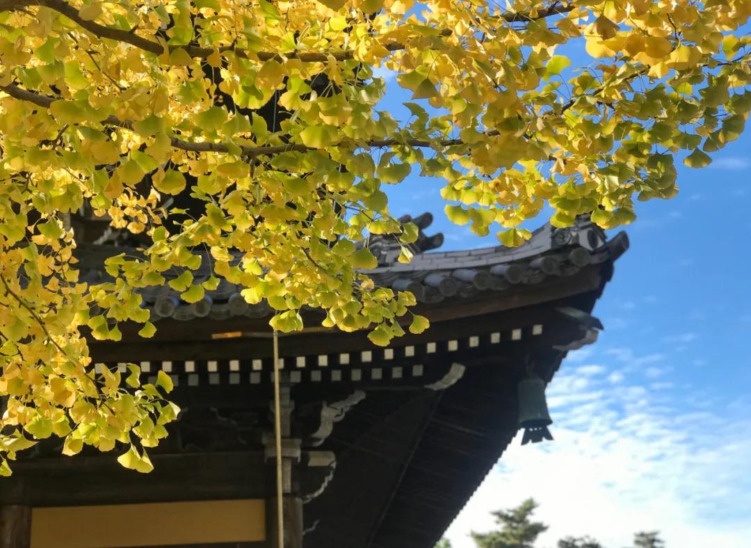 38首极短古诗词短的极致美到心醉,12个月12首诗12种极致之美