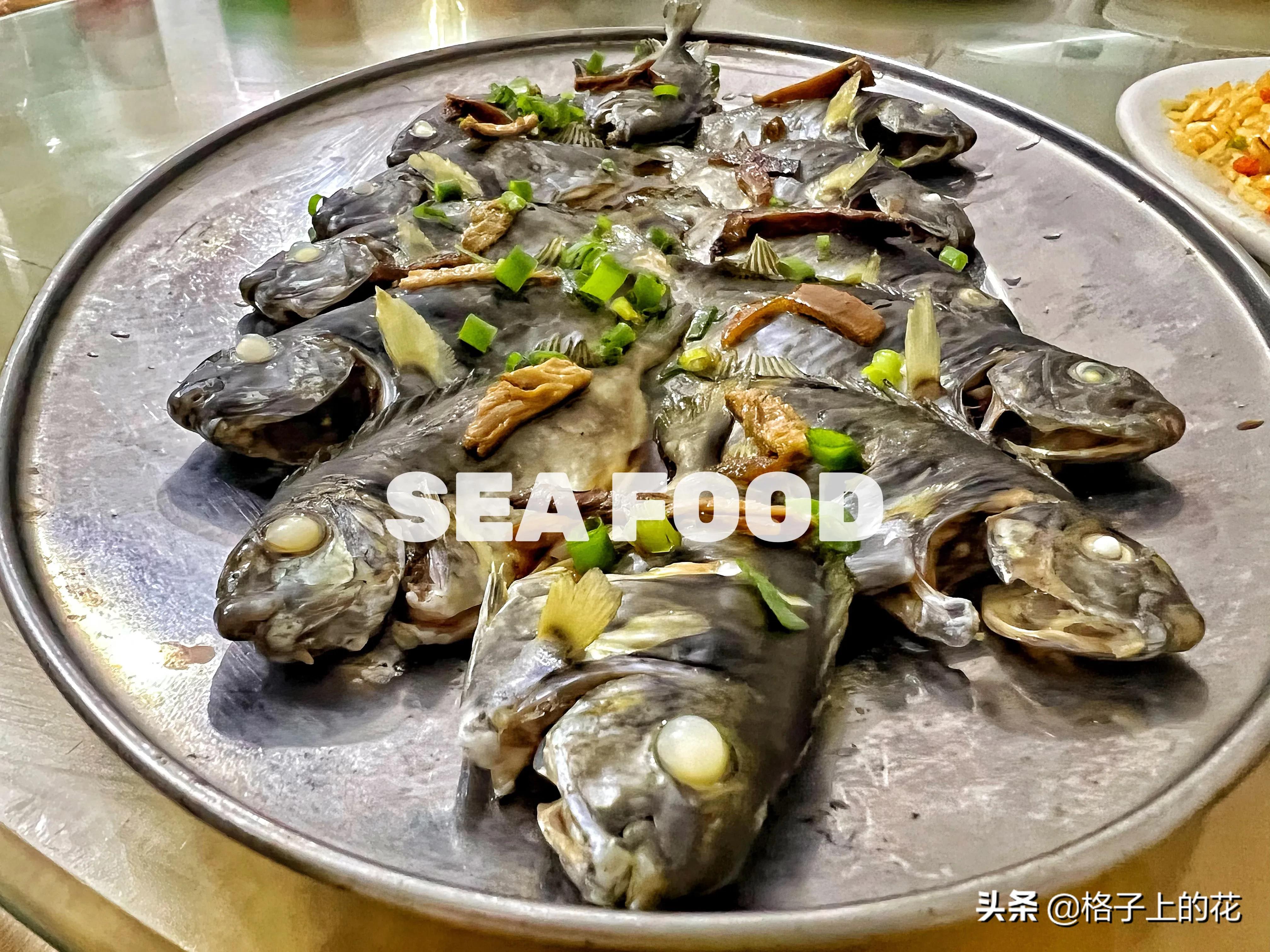 惠州怎么坐船出海旅游,惠州坐船上岛游玩攻略