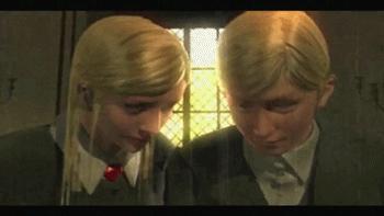 生化危机浣熊市危机完整版,生化危机浣熊市合集包含什么