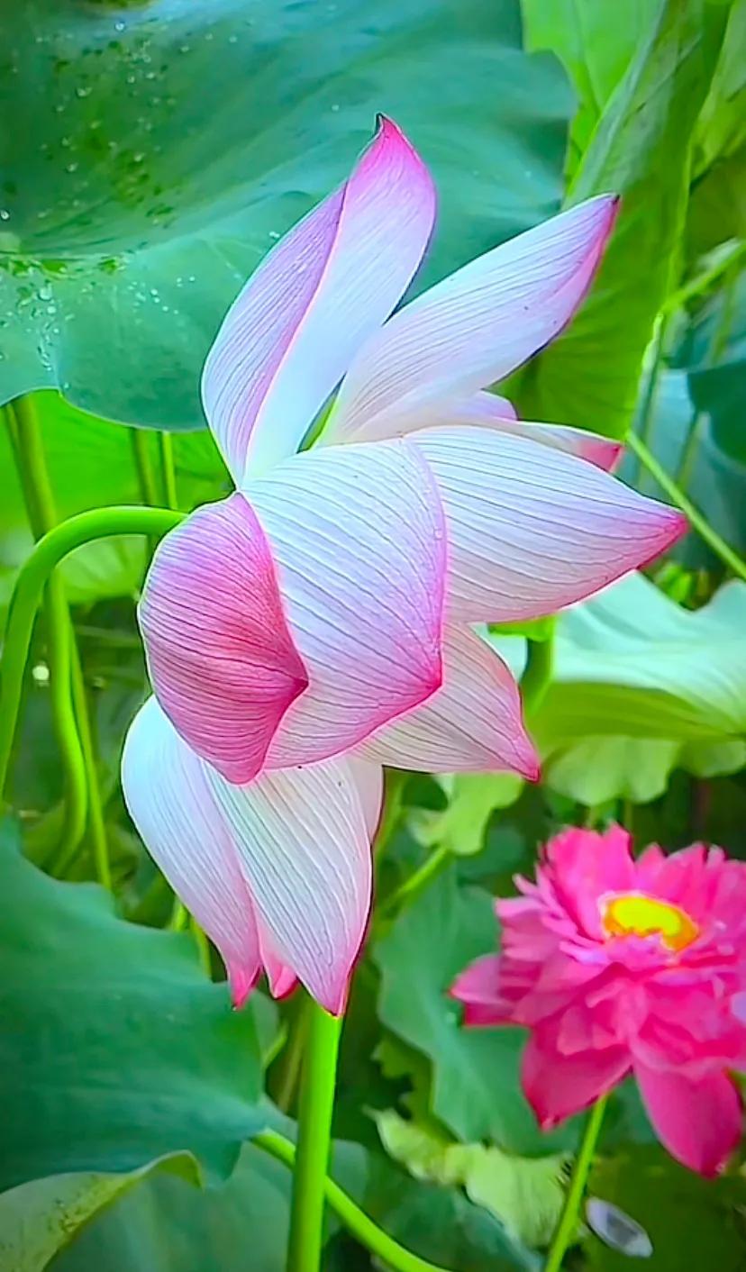 闺蜜聚会朋友圈文案短句干净治愈,适合闺蜜发朋友圈的文案最新