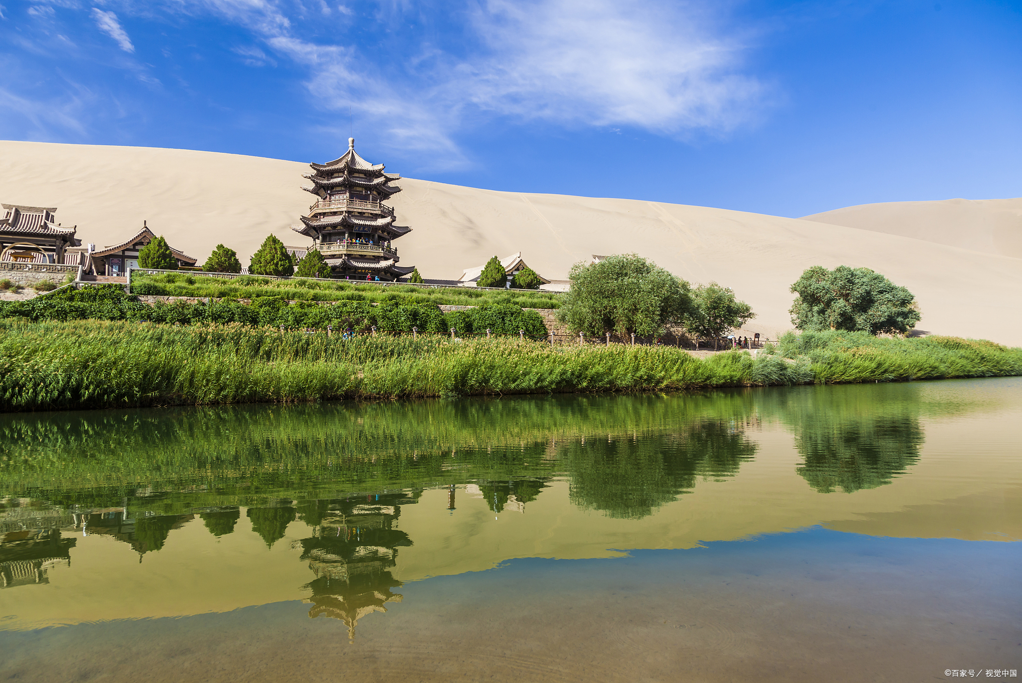 堵骆驼,堵骆驼敦煌骆驼排队上山