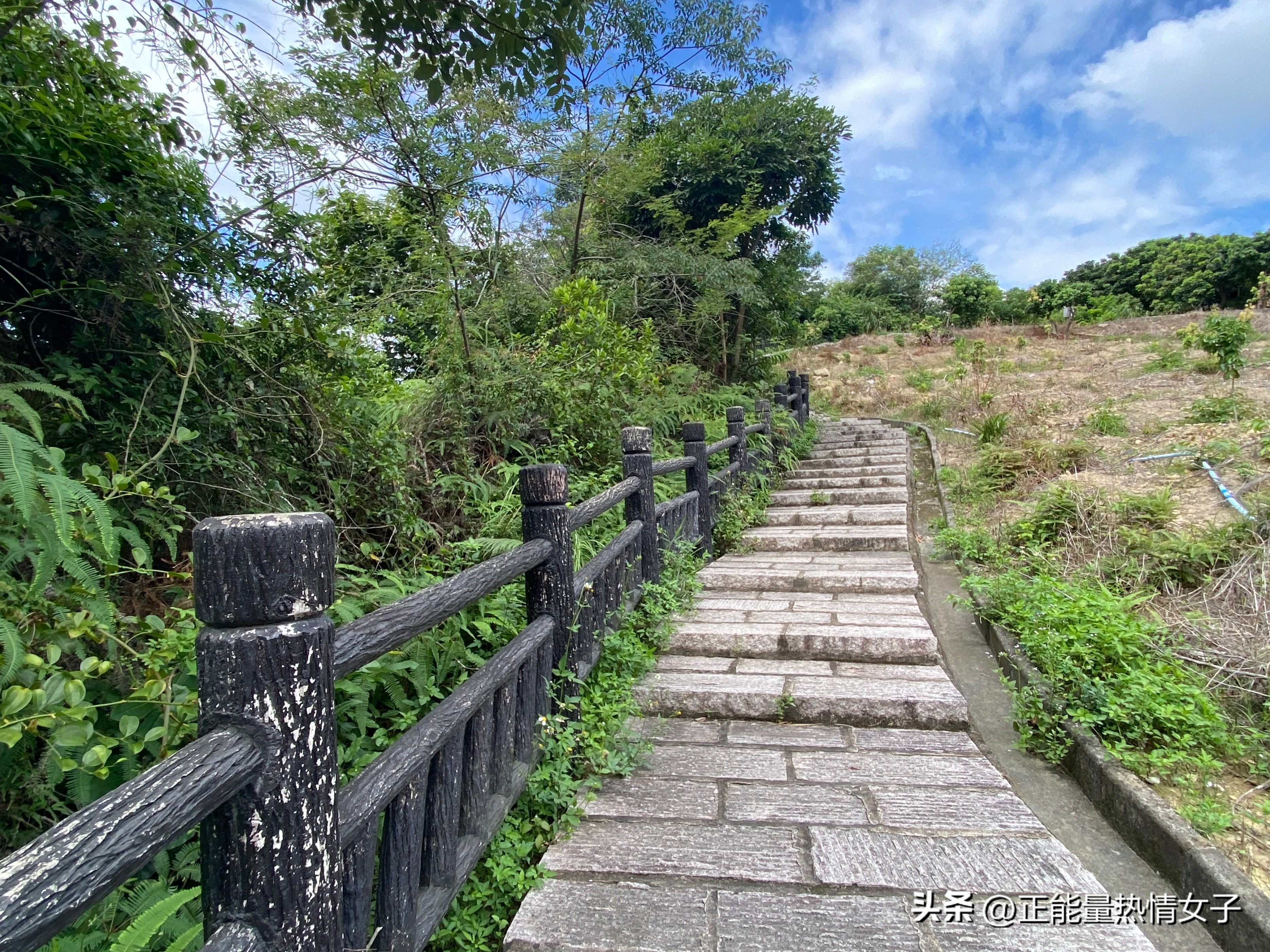 广州梅花岭森林公园,广州市白云区五峰山森林公园