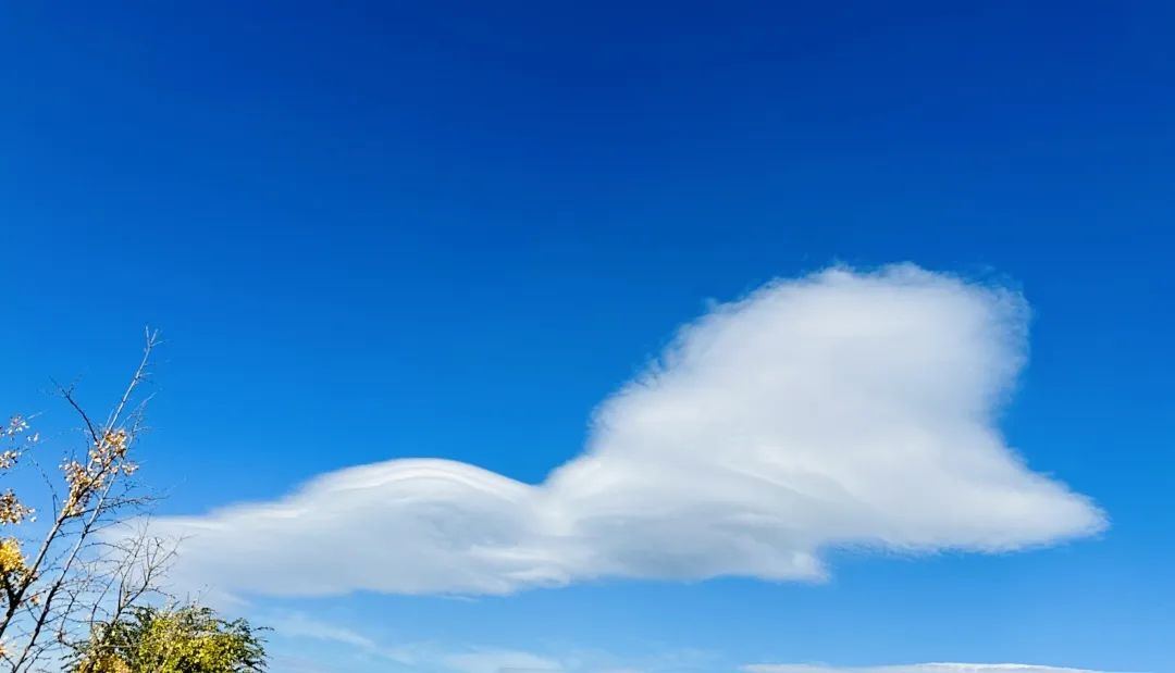 冬季洱海看海鸥最佳地方,这个冬天洱海该有多浪漫