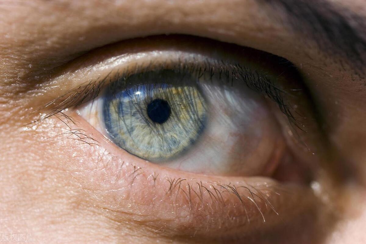 近视眼吃什么对眼睛好可以明目,吃什么食物能对眼睛近视有帮助