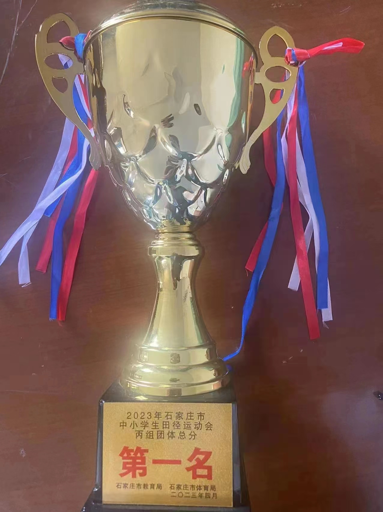 体育强身健康成长——探秘百年名校河北正定中学之体育篇