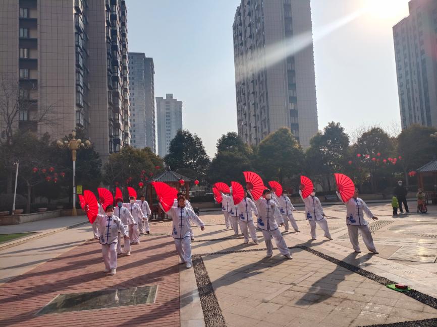 洛阳偃师“两委+物业”小区共管新模式绘就齐庄社区群众美好生活