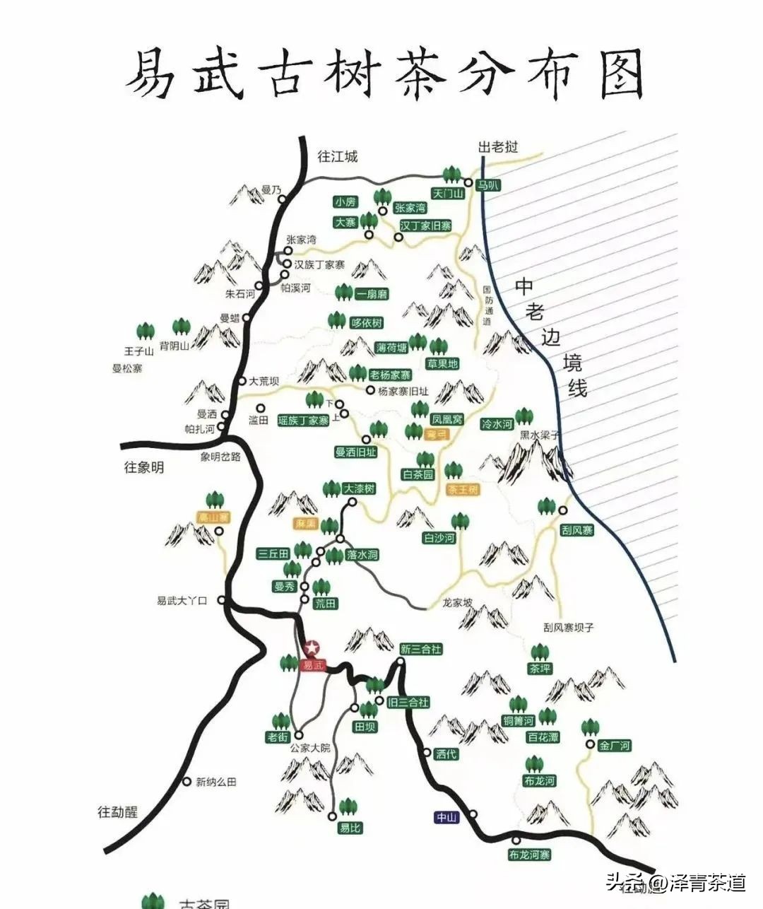 易武六大茶山茶的特点,易武茶的特点